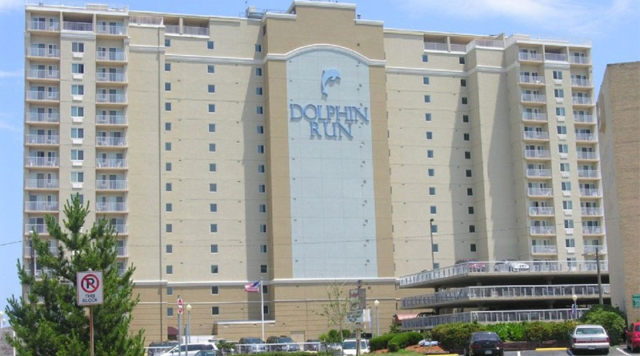 Dolphin Run
